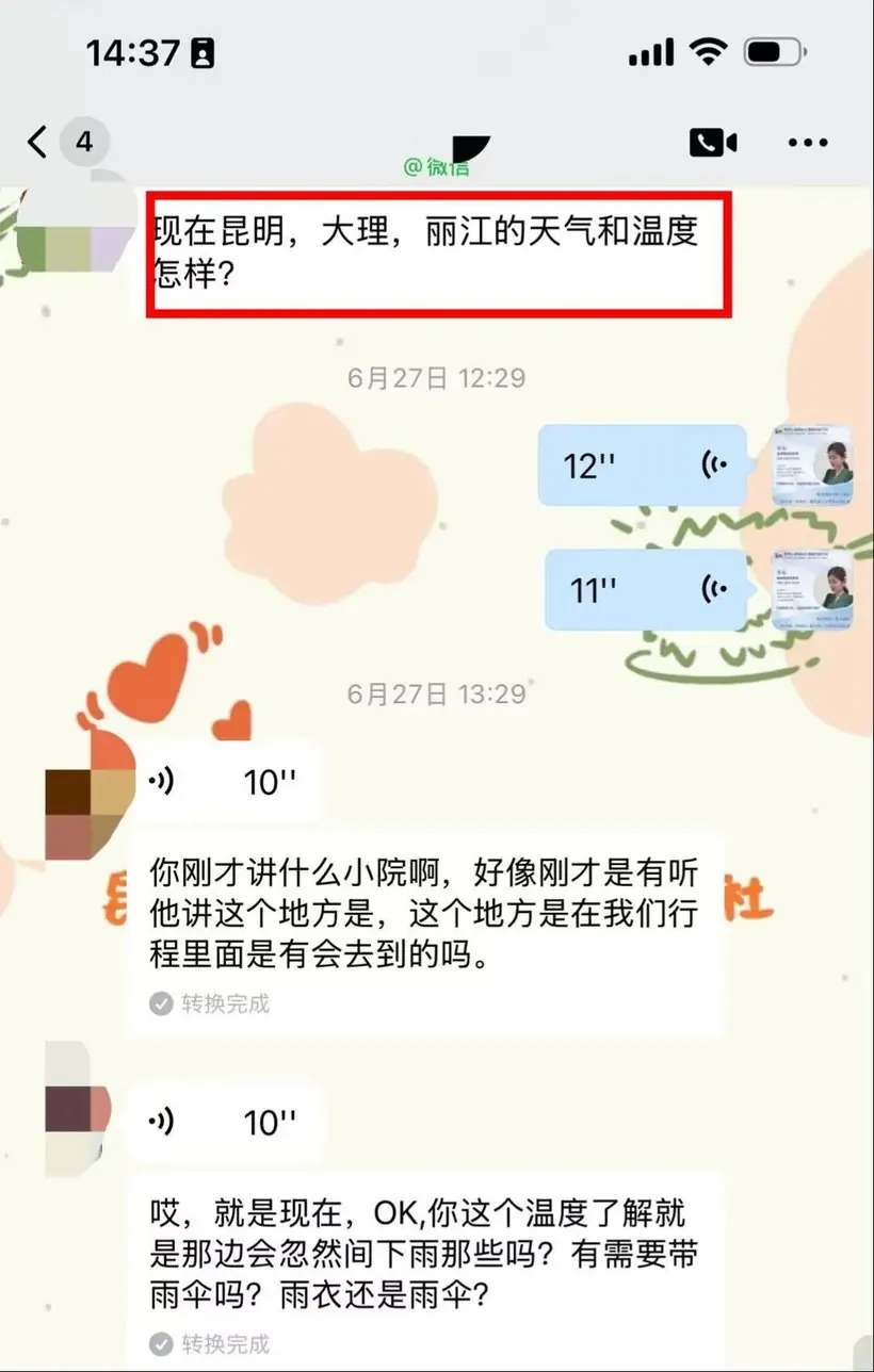 马来西亚 2 位朋友飞云南:被坑怕了,只认云南靠谱旅行社 · 沟通记录