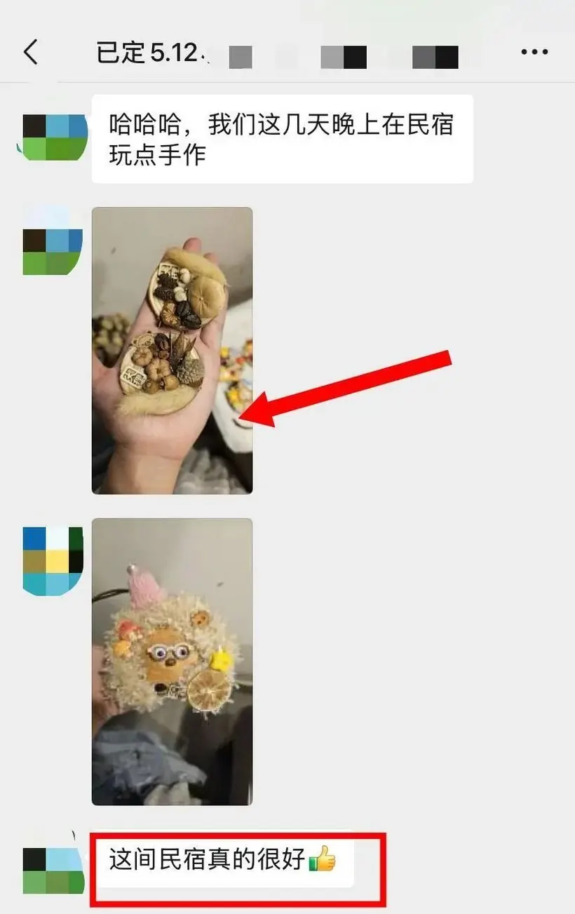 马来西亚闺蜜 3 人飞云南玩 7 天:说这趟“特别对胃口” · 沟通记录