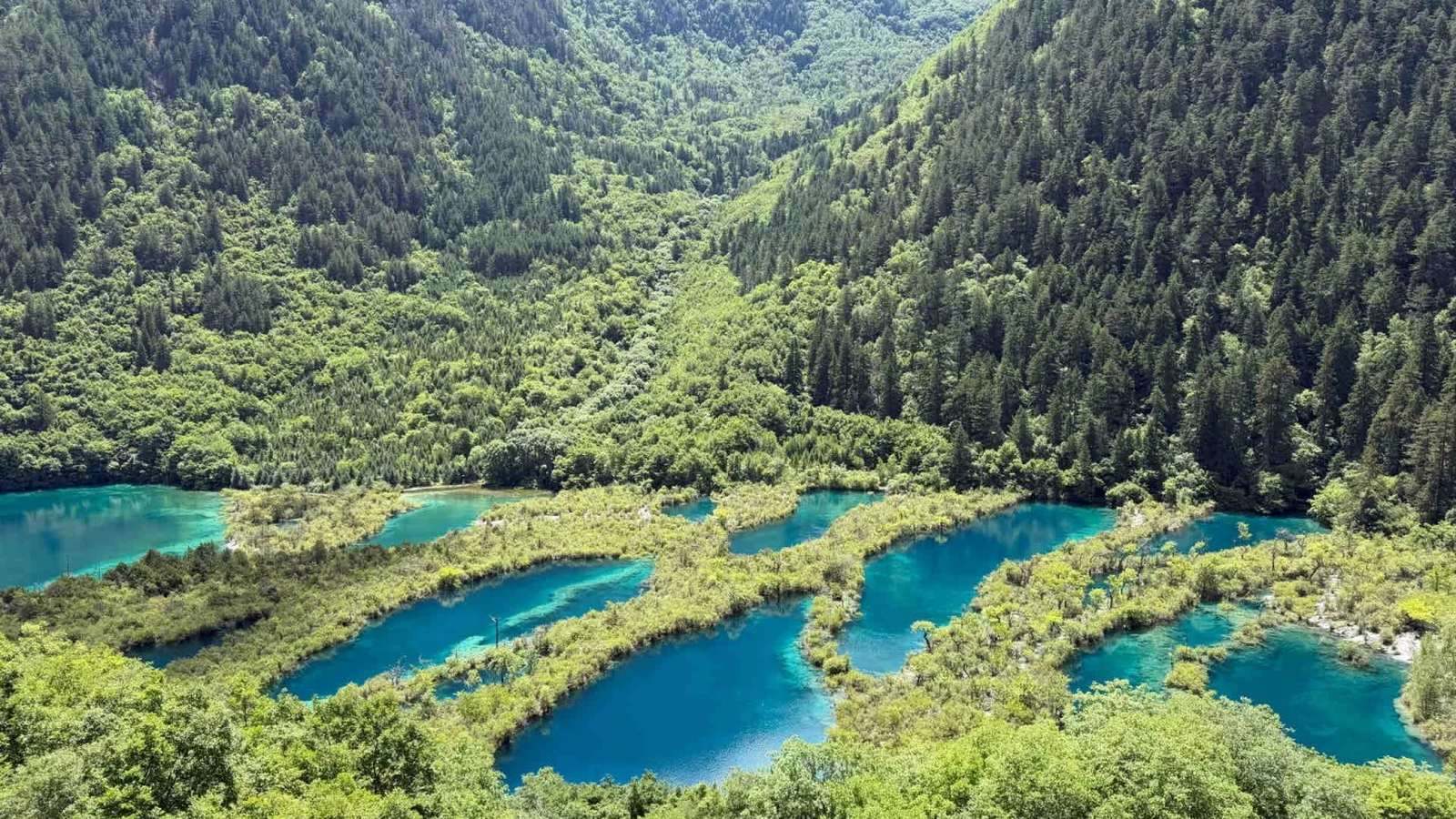 九寨沟树正群海