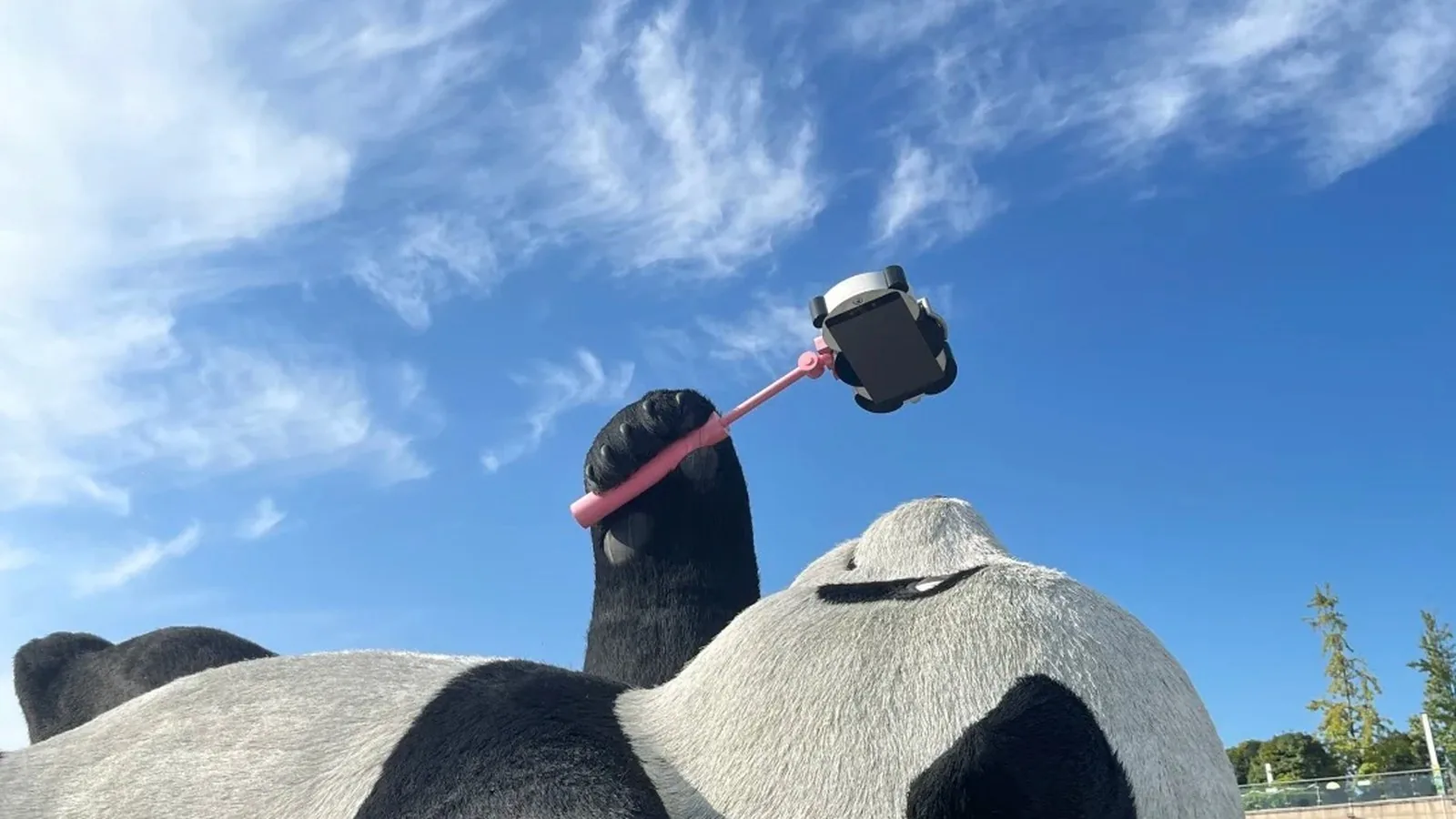 都江堰熊猫基地