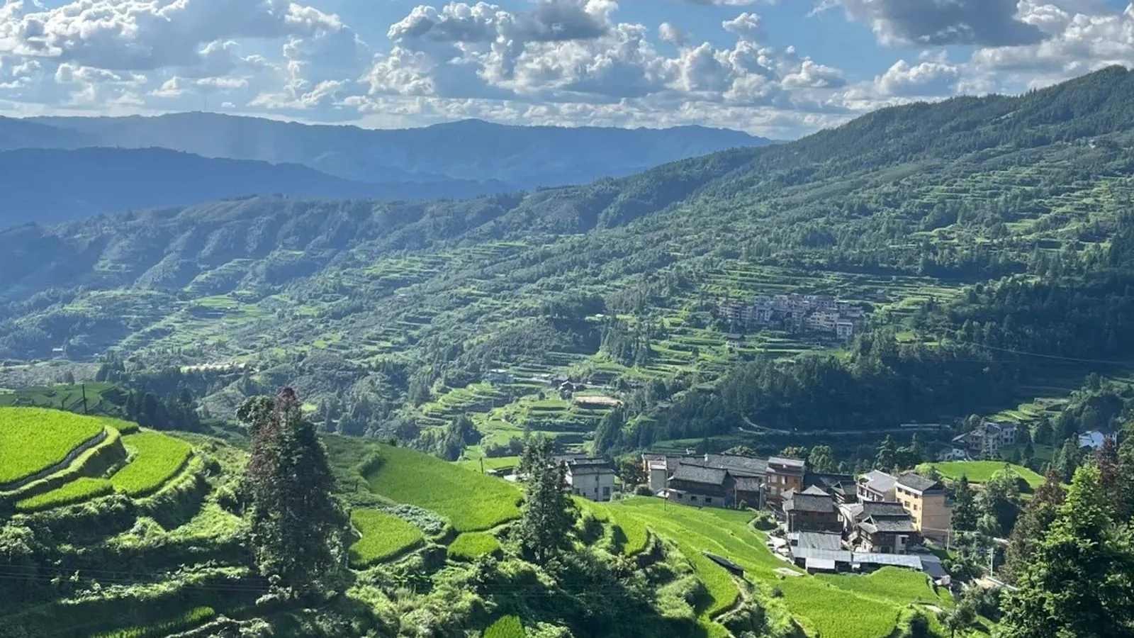 堂安梯田