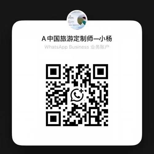 久游国旅 WhatsApp 二维码 · 定制师小杨